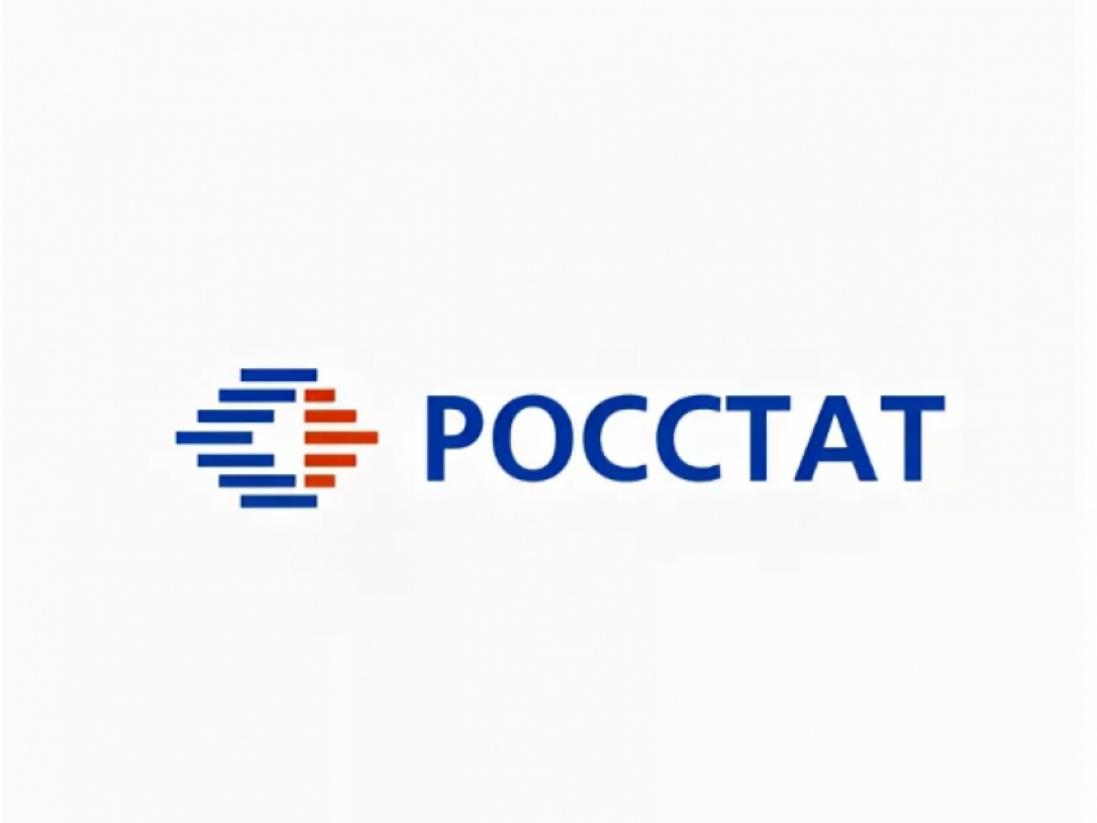 Росстат подсчитал среднюю зарплату строителей за 2020 год
